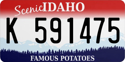 ID license plate K591475