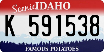 ID license plate K591538
