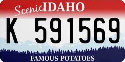 ID license plate K591569