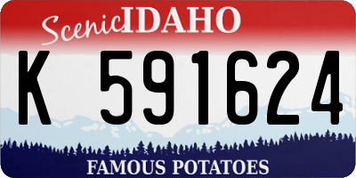 ID license plate K591624