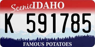 ID license plate K591785