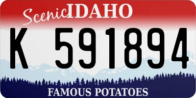 ID license plate K591894