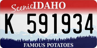ID license plate K591934