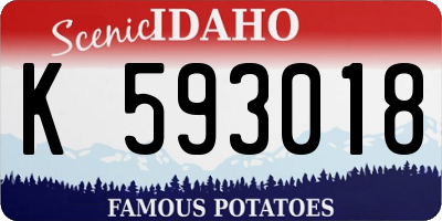ID license plate K593018