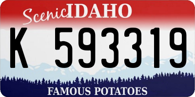ID license plate K593319
