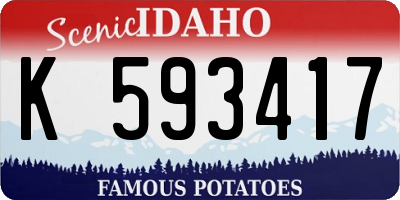 ID license plate K593417
