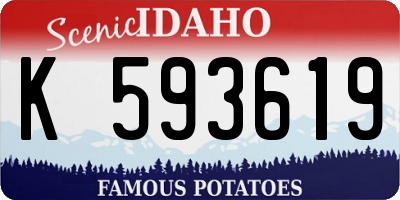 ID license plate K593619