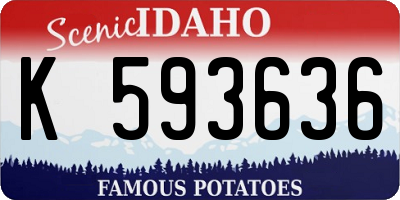 ID license plate K593636