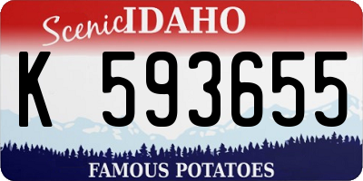 ID license plate K593655