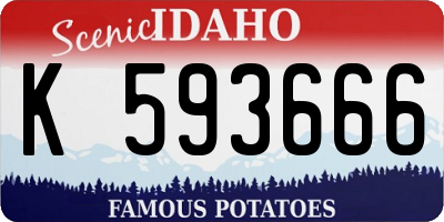 ID license plate K593666