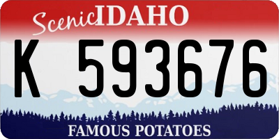 ID license plate K593676