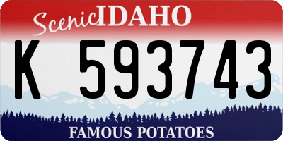 ID license plate K593743