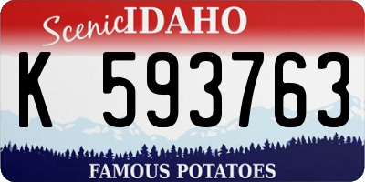 ID license plate K593763