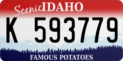 ID license plate K593779