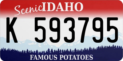 ID license plate K593795