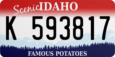 ID license plate K593817