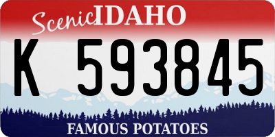 ID license plate K593845