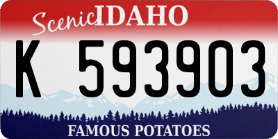 ID license plate K593903