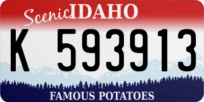 ID license plate K593913