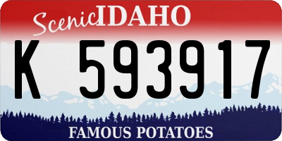 ID license plate K593917