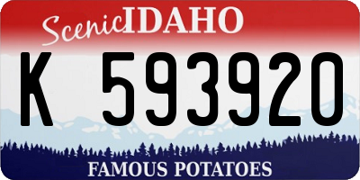 ID license plate K593920