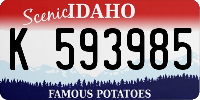 ID license plate K593985