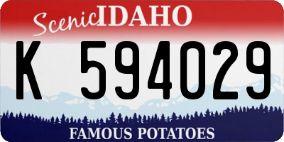 ID license plate K594029