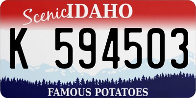 ID license plate K594503