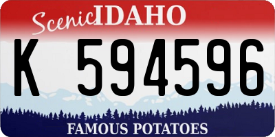 ID license plate K594596