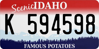 ID license plate K594598