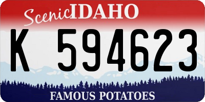 ID license plate K594623
