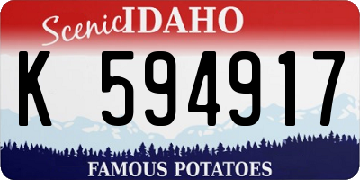 ID license plate K594917
