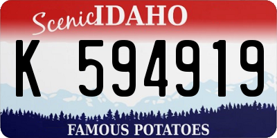 ID license plate K594919