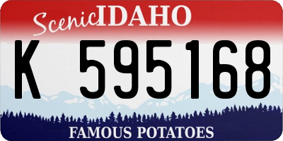 ID license plate K595168