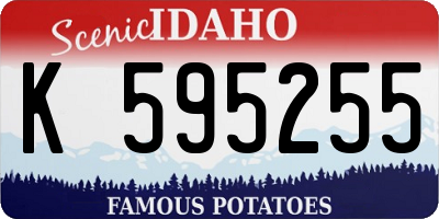 ID license plate K595255