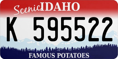 ID license plate K595522