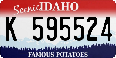 ID license plate K595524