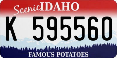 ID license plate K595560
