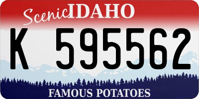 ID license plate K595562