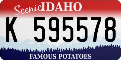ID license plate K595578