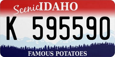 ID license plate K595590