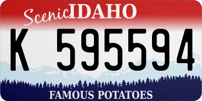 ID license plate K595594