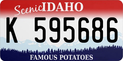 ID license plate K595686