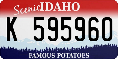 ID license plate K595960