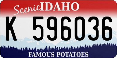 ID license plate K596036