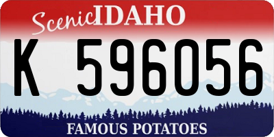 ID license plate K596056