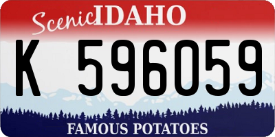 ID license plate K596059