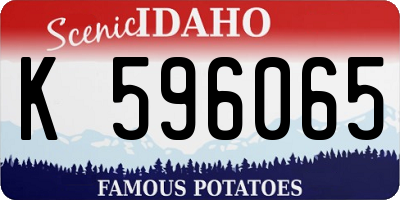 ID license plate K596065