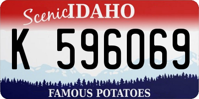 ID license plate K596069