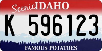 ID license plate K596123